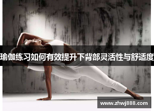 瑜伽练习如何有效提升下背部灵活性与舒适度